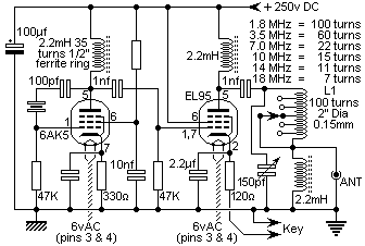 2tubetx1.gif