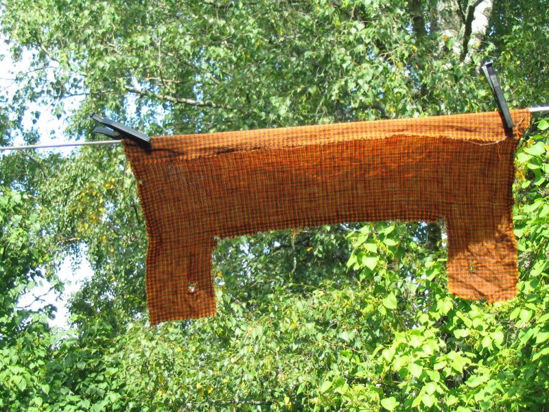 Asa_587_kangas.jpg