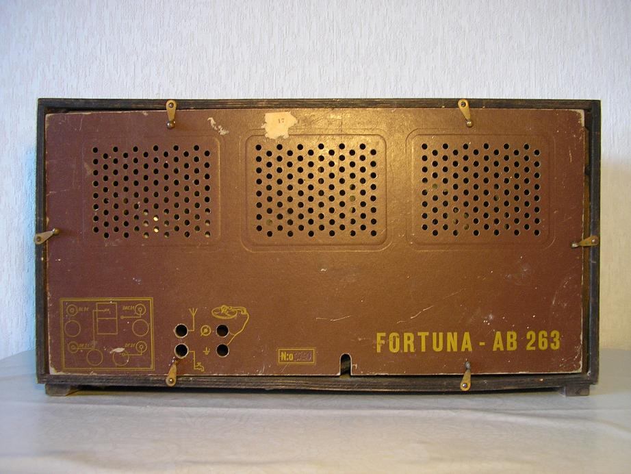 Fortuna_AB_263_takaa.jpg